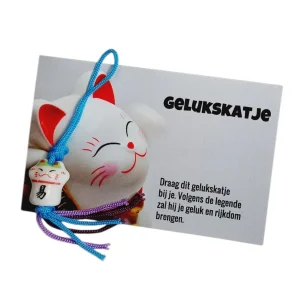 Kaartje met gelukskatje voor geluk en rijkdom
